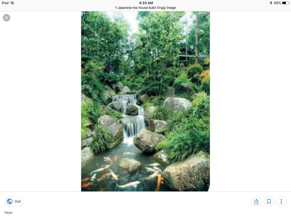 Bukit Tinggi Berjaya Hill Homestay 外观 照片