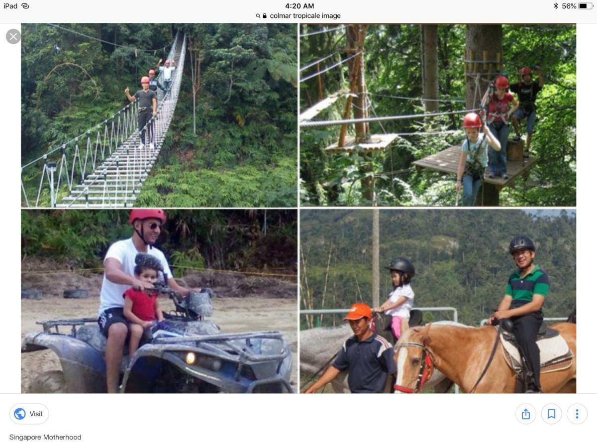 Bukit Tinggi Berjaya Hill Homestay 外观 照片