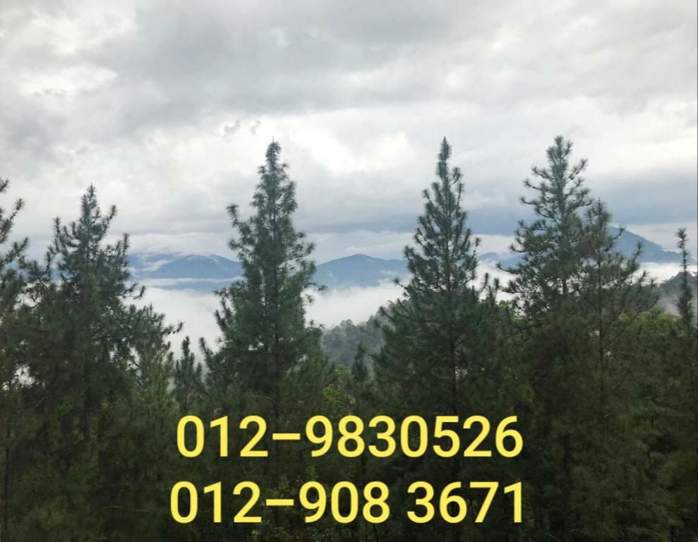 Bukit Tinggi Berjaya Hill Homestay 外观 照片